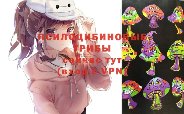 амф Алексеевка
