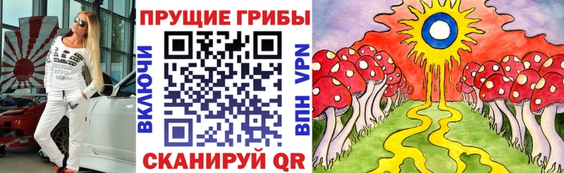 мега как зайти  Абакан  Псилоцибиновые грибы прущие грибы 