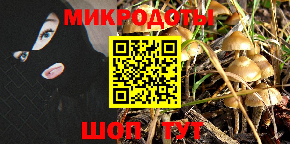 Галлюциногенные грибы ЛСД Абакан