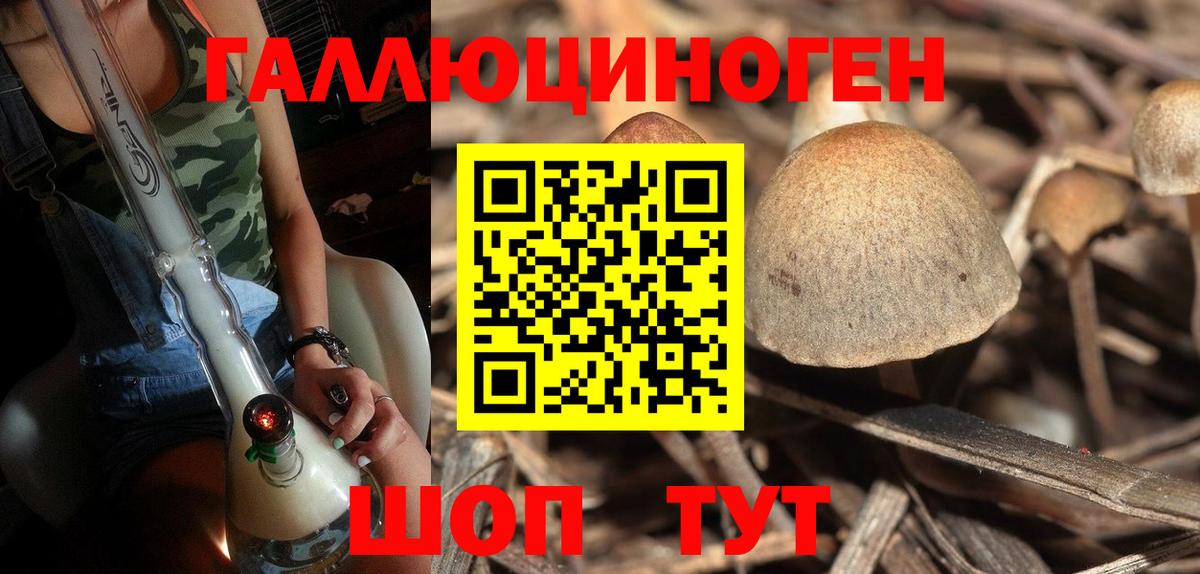 Абакан  Каннабис  Купить наркотики  А ПВП  Ляпка  Вход с VPN  Мяу-Мяу  АМФ  CBD масло 